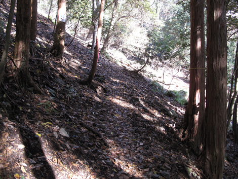 20161216hike (22)